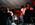 1992 - 2002The Nightbirds